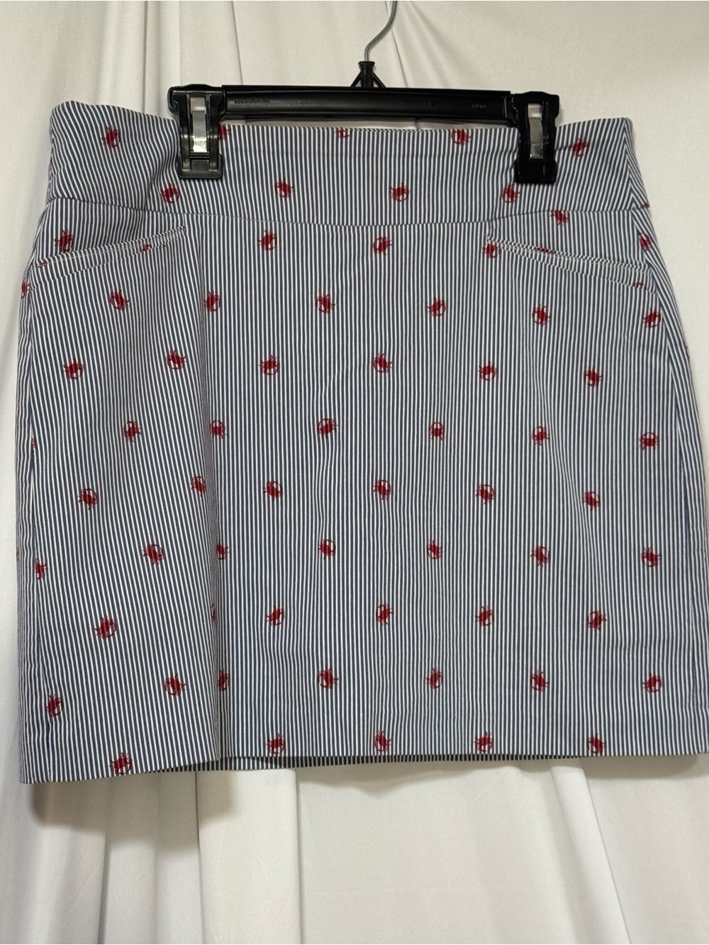 Attyre Striped Mini Skirt with Red crab Embroidered Motifs - Women